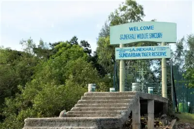 Sajnekhali Wildlife Sanctuary Sundarban